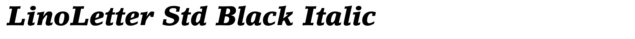 LinoLetter Std Black Italic image